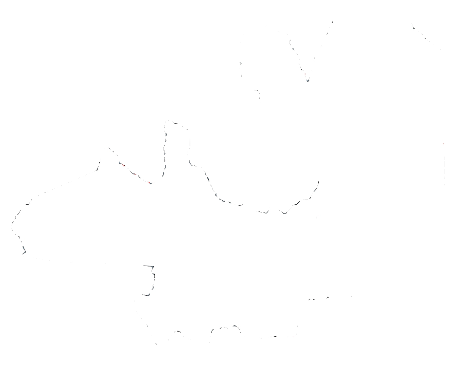 Salta