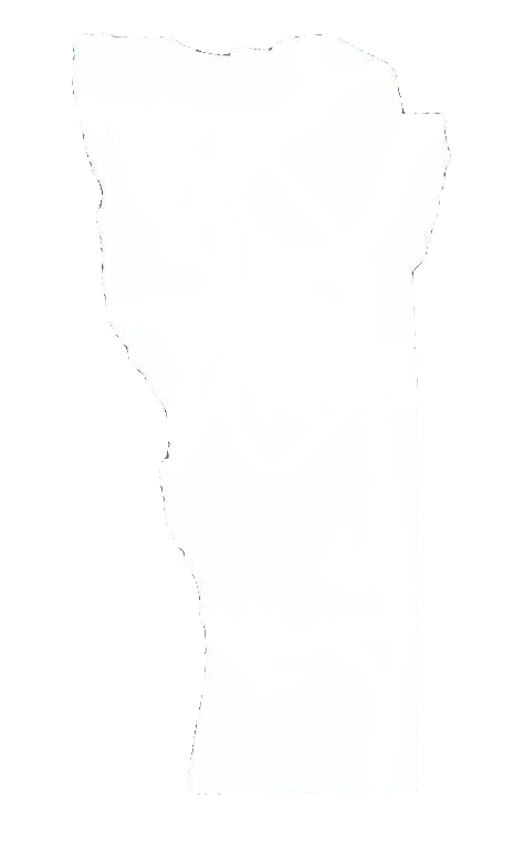 San Luis
